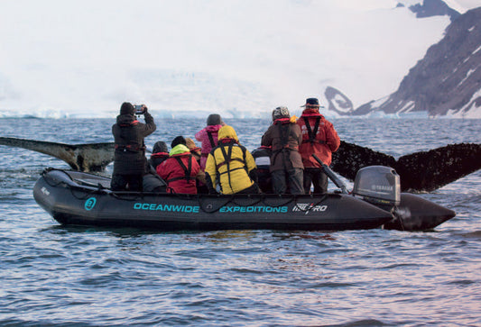 Z80483 - Zodiac MilPro MK5 HD - Heavy Duty -työvene (KÄYTETTY)
